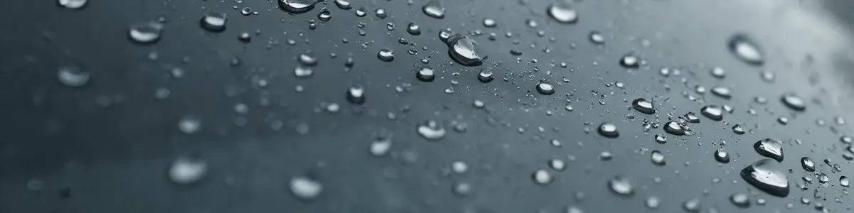Automotive glass and windscreen